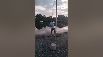 Vlogs 256 Báo cá - Hồ Câu Vip 61 - 0922978979 An Tây, Bến Cát, Bình Dương || Thầy Duy Vlogs