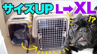 リッチェルのキャンピングキャリーをサイズUP！下半身麻痺でも楽々寝返りを打てる広さに。