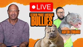 Life With 2 NEWLY Imported INTACT Male Dobermans! | w/ @30BKennels