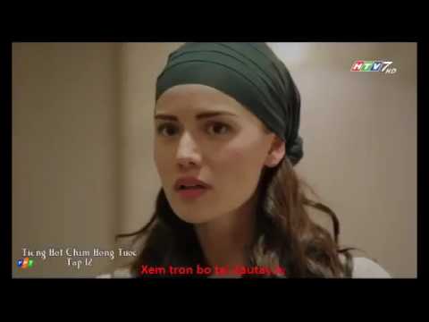 Video Tiếng hót chim Hồng Tước Tập 12a - youtube