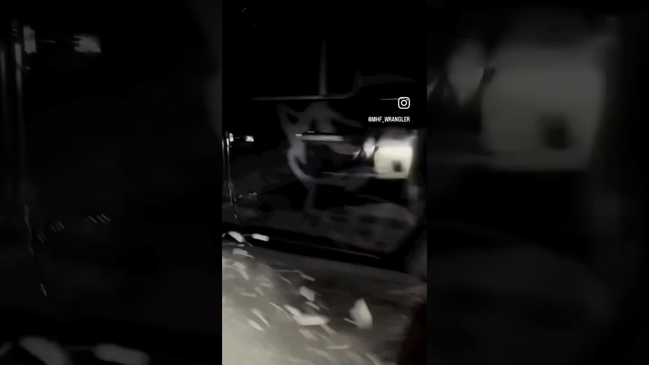 Snow Problems? Never 