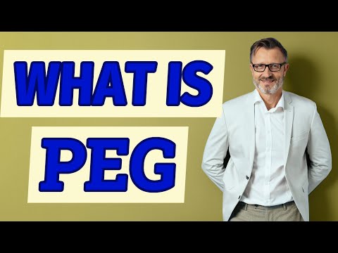 Peg Definition of peg