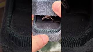 a81b282efeffbe225aa802eee099a37c