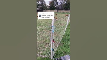 Questions about electric poultry netting