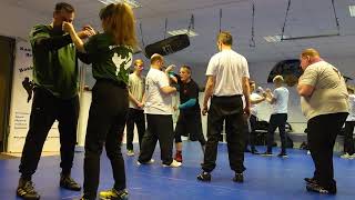 Baek Wing Tsun - Training #kampfkunst #martialarts #selbstverteidigung