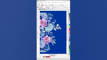 CorelDRAW Hacks You Wish You Knew Sooner | Bitmap Mask