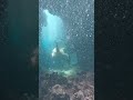 the cameraman followed her through the dangerous and tight tunnel. would you try to follow her in