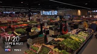 Sept à Huit - Sunday, August 16, 2026 on TF1