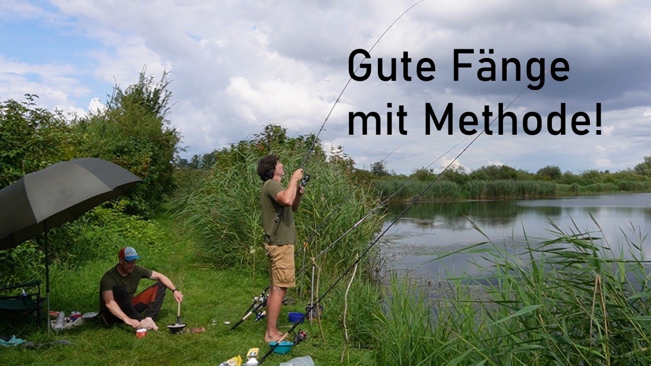 Feedern in Mecklenburg, BRASSEN in MASSEN!