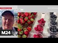 Цены взлетели до небес! В Геленджике малина стоит 3500 за килограмм - Москва 24
