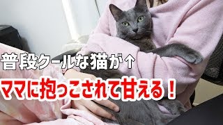 普段クールな猫がママに抱っこされて甘える！