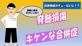 【自律神経が１番大切！？】脊髄損傷の合併症について１０分で解説！