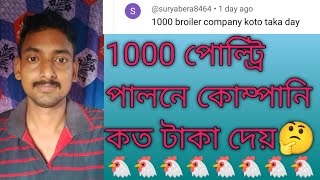 1000 পোল্ট্রি পালনে কোম্পানি কত টাকা দেয়/ poultry farming/ poultry farm/ chicken farm/ boiler farm
