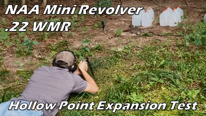 NAA Mini Revolver .22 WMR Hollow Point Expansion Test
