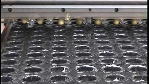 MIMAC ITALIA - Cookie dropping machine: Babà production