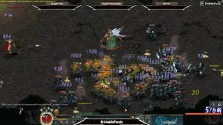 Surprise DB Find Conquer Online 2.0 Classic Private Server Conquer Origins Gameplay Drinkable Panda