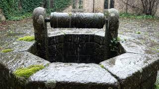 Relaxing Rain Sounds at an Old Stone Well | Cozy Nature Ambience for Sleep