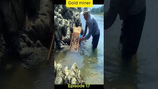 Gold Miner 17 #fb #boating #gold #lake #trend #carpfishing #gold #goldenretriever #goldfish