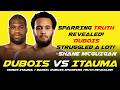 DANIEL DUBOIS VS MOSES ITAUMA - SPARRING TRUTH FINALLY REVEALED!!! 😱