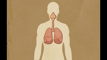 Radon: Protect Your Health at Home