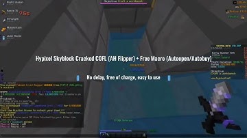 Hypixel Skyblock Autobuy | 100m+ per hour | not bannable