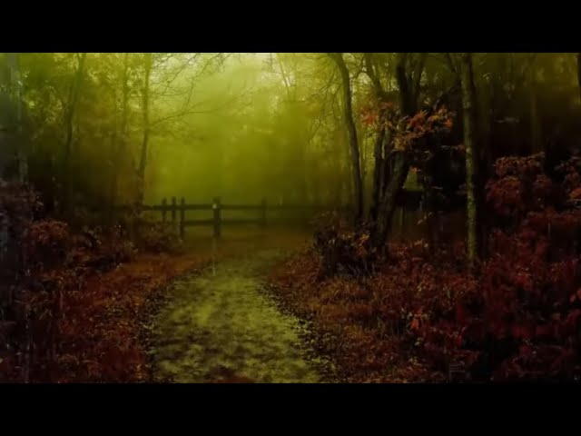 Watch Rain Sounds with Native American Flute, Relaxing Music for Sleep and Meditation on YouTube Watch Rain Sounds with Native American Flute, Relaxing Music for Sleep and Meditation on YouTube