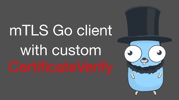 Mutual TLS (mTLS) Go client with custom certificate signer