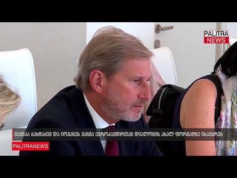 მამუკა ბახტაძემ და იოჰანეს ჰანმა ევროკავშირთან დიალოგის ახალ ფორმატზე ისაუბრეს