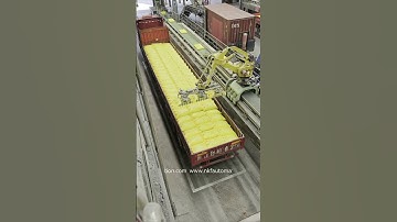 👍Our walking guide rail, paired with Fanuc robots, is applied to automated loading.