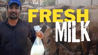Fresh Milk Straight From The Farm Best Natural Milk In Saudi Arabia