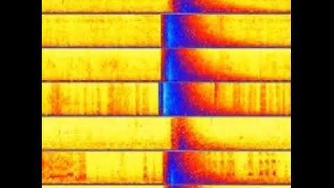 RING of FIRE - U.S.A.CAN -- Live Seismic Monitoring