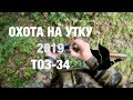 Охота на утку осень 2019 с тоз-34