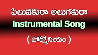 Piluvakura Alugakura పలవకర అలగకర Musichouse27 Instrumental Song