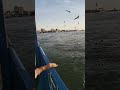 بورسعيد المعدية بورسعيد المعدية