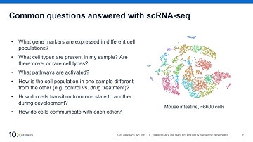 Introduction to ScRNA-seq Data Analysis