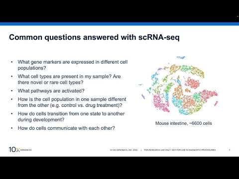 Introduction to ScRNA-seq