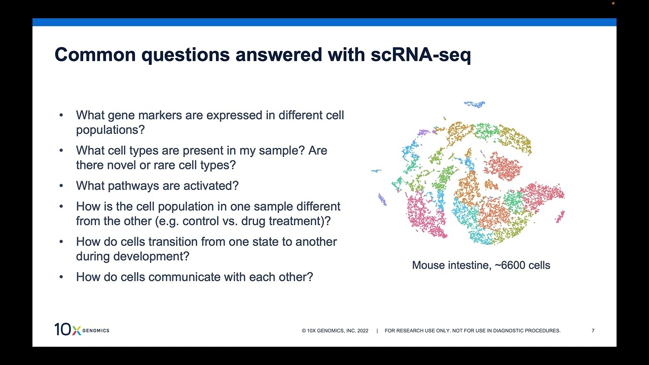 Introduction to ScRNA-seq Data Analysis