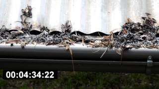 Eaves Bushfire Ember Attack Test 1280 720 2