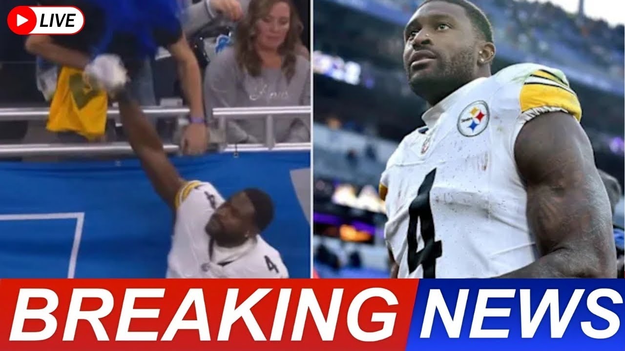 ДК Меткалф ударил фаната «Лайонс» в шокирующем инциденте на боковой линии | Реакция НФЛ 🔴 ПРЯМАЯ ...