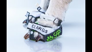 Clawgs Kickstarter Promo Video