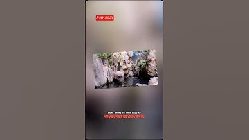 Bên e chuyên thiết kế và sửa lại sân vườn làm hồ cá koi,non bộ,tiểu cảnh,thác nước #canhquansanvuon