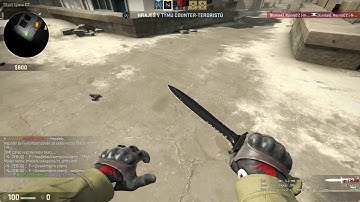 Arms Fix - SM Skinchooser & Franug