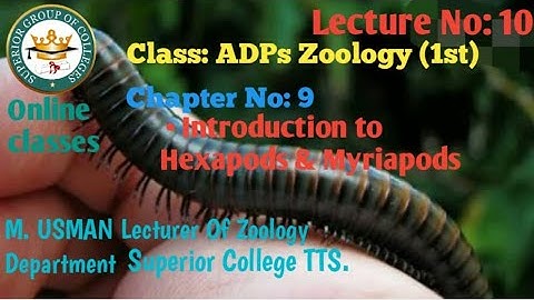 General characteristics to Hexapoda and Myriapoda. Class Diplopoda Class Chilopoda