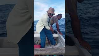 GT Trolling at Naikelo Reef, Natauloa, Nairai Island, Fiji