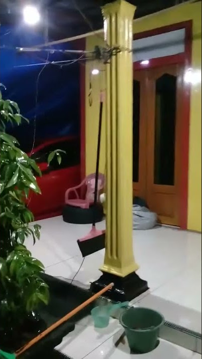 Arep....bodo...kok rendeng...sederek