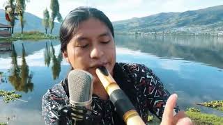 Download Lagu The Song Of The Ocarina - Raimy Salazar & Carlos Salazar (Panflute And Quenacho) Download Lagu The Song Of The Ocarina - Raimy Salazar & Carlos Salazar (Panflute And Quenacho)