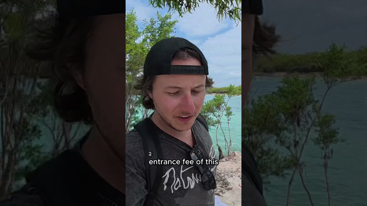 $7 island beach fee 🇵🇭 