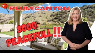 Sold by Holly Thompson Homes Stunning 5 bedroom home in Plum Canyon FULL TOUR