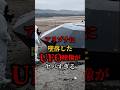 アリゾナに墜落したUFO映像がヤバすぎる #都市伝説 #UFO #宇宙 #怖い話