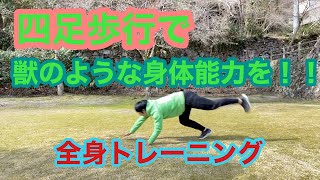 【子どもの運動能力向上】四足歩行で運動能力を高めよう！！